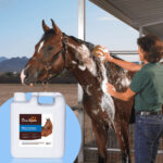 Shampoing ultra-hydratant pour chevaux - Produit de toilettage pour animaux...