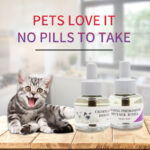 Cat Calming Products Manufacturer | OEM Private Label Pet Wellness - Pet Hygiene & Wellness Products - beian.jxzhizao.com