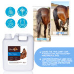 Shampoing ultra-hydratant pour chevaux - Produit de toilettage pour animaux...